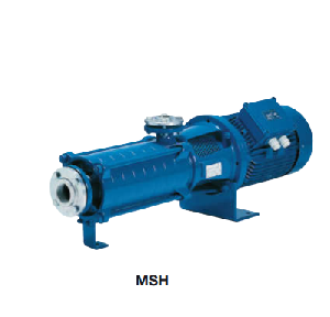 MSH.0810