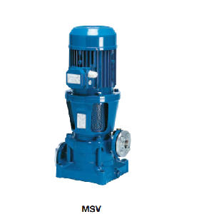 MSV.0810